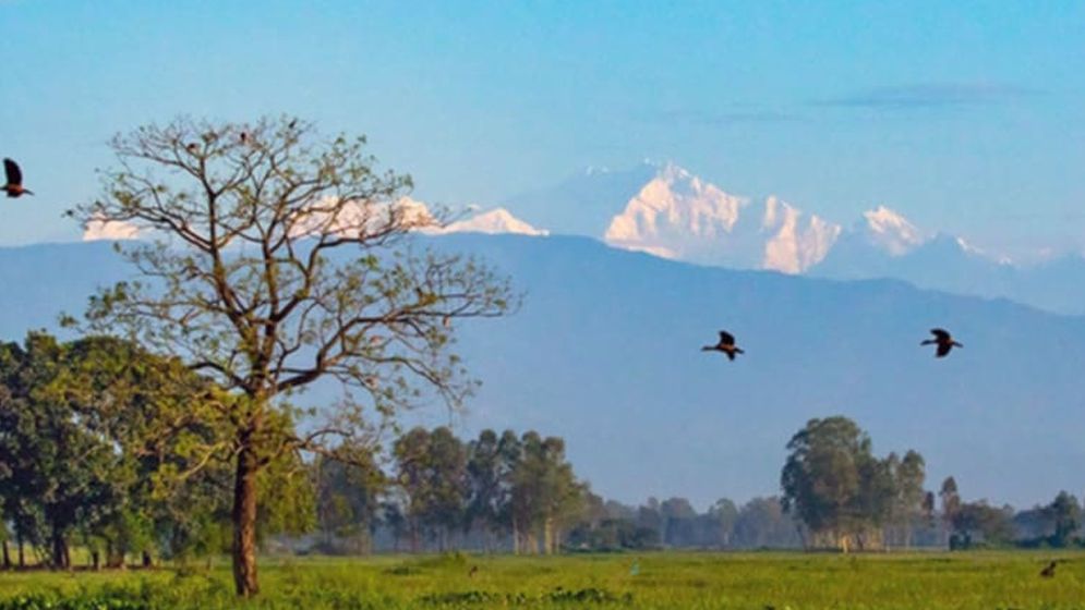 কাঞ্চনজঙ্ঘা দেখতে ভ্রমণপ্রেমীদের ভিড়