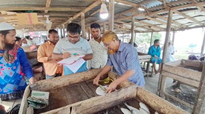 ডিম ছেড়ে দেওয়া ইলিশ নিয়ে চলছে গবেষণা কার্যক্রম