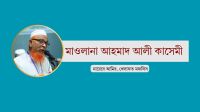 ইসলামি দলগুলোর সঙ্গে ঐক্যবদ্ধভাবে নির্বাচনের চিন্তা করছি