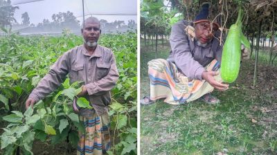 শীতকালীন সবজি চাষে ব্যস্ত সময় পার করছেন কৃষকরা