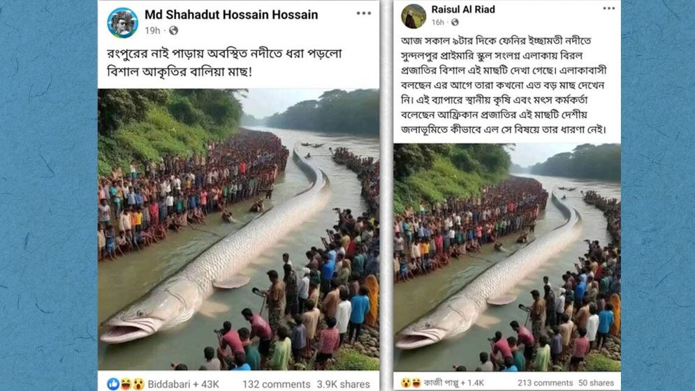 ফেনী-রংপুরে কি এই মাছ আছে, ফ্যাক্টচেকে যা জানা গেল