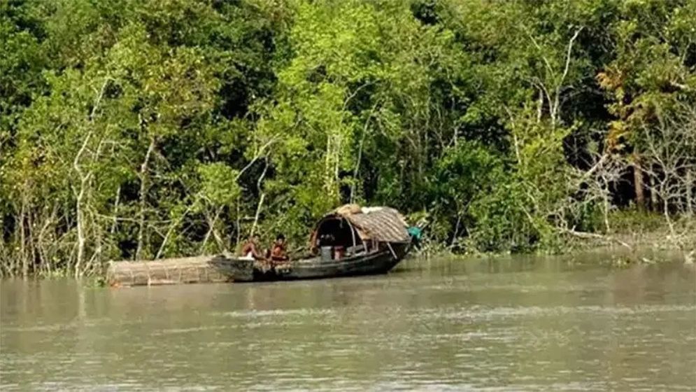 সুন্দরবনে কাঁকড়া প্রজনন মৌসুম শুরু