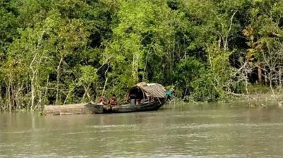 সুন্দরবনে কাঁকড়া প্রজনন মৌসুম শুরু