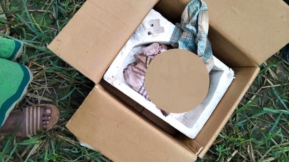 কুমিল্লায় কার্টনে মিলল নবজাতকের মৃতদেহ