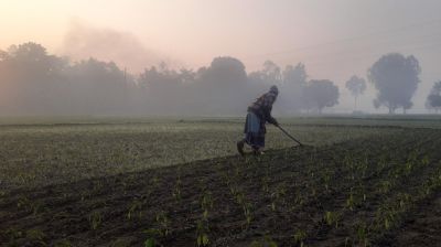 পঞ্চগড়ে দুই দিন পর দেখা মিলল রোদের