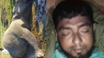 ধানক্ষেত পাহারায় গিয়ে বন্যহাতির আক্রমণে প্রাণ গেল কৃষকের