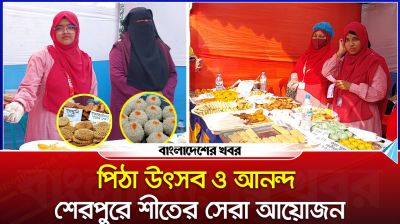 পিঠা উৎসবে মেতে উঠল শেরপুর, শাহীন ক্যাডেট স্কুলে আনন্দের রঙিন মুহূর্ত