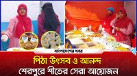 পিঠা উৎসবে মেতে উঠল শেরপুর, শাহীন ক্যাডেট স্কুলে আনন্দের রঙিন মুহূর্ত