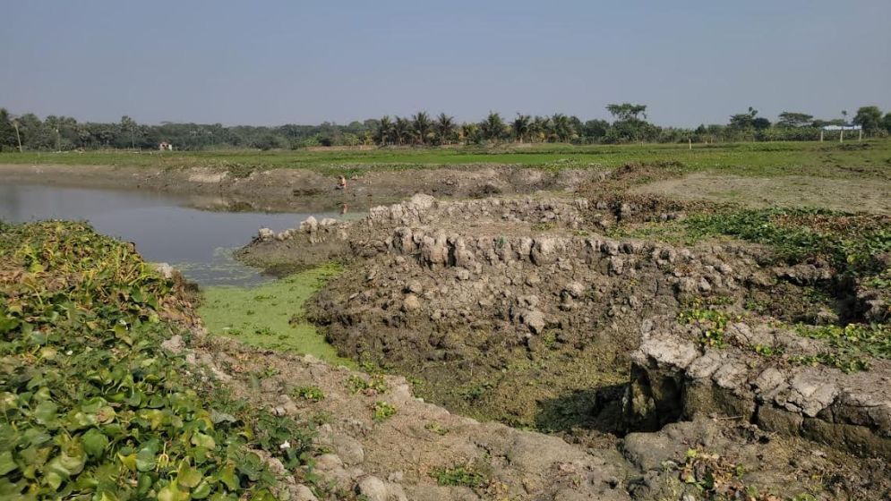 ফসলি জমি ধ্বংস করে মাটি কাটার মহোৎসব