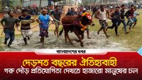 দেড়শত বছরের ঐতিহ্যবাহী গরু দৌড় প্রতিযোগিতা দেখতে হাজারো মানুষের ঢল