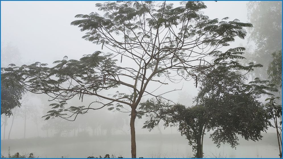 হাড়কাঁপানো শীতে বিপর্যস্ত দিনাজপুরের জনজীবন