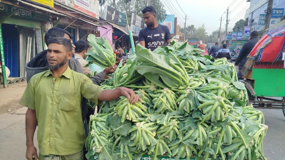 ফুলকপি যেন কৃষকের গলার কাঁটা