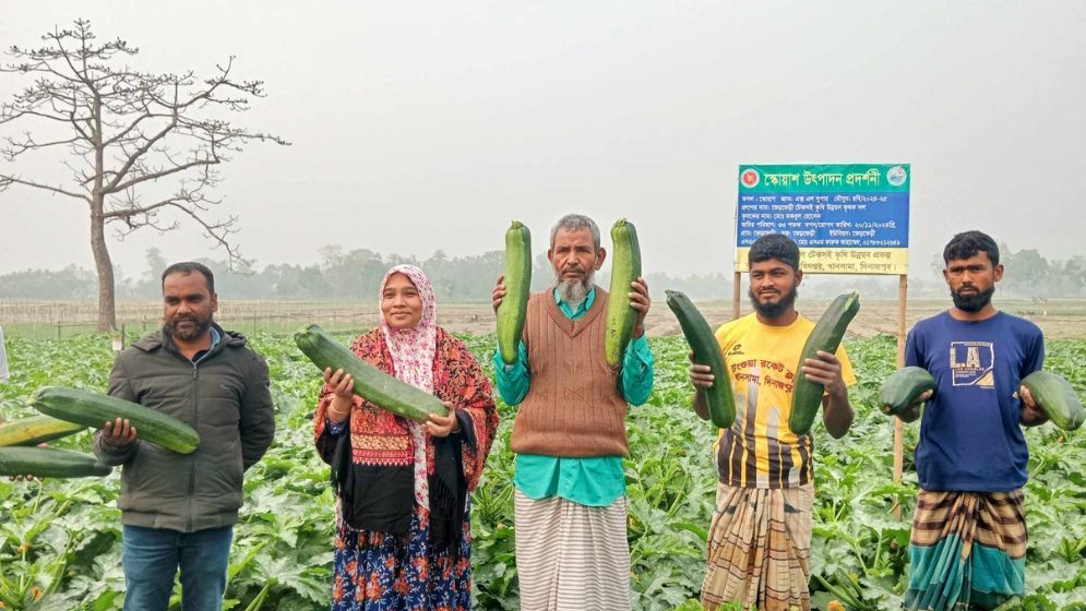 বিদেশি সবজি চাষে লাভের আশা