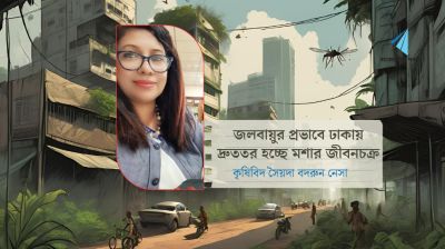 জলবায়ুর প্রভাবে ঢাকায় দ্রুততর হচ্ছে মশার জীবনচক্র