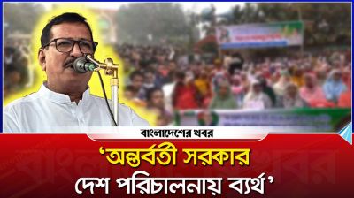 অন্তর্বর্তী সরকার দেশ পরিচালনায় ব্যর্থ : মিজানুর রহমান মিনু