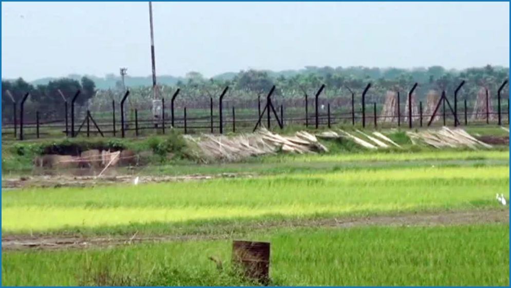 অবৈধভাবে ভারত থেকে দেশে প্রবেশের সময় যুবক আটক