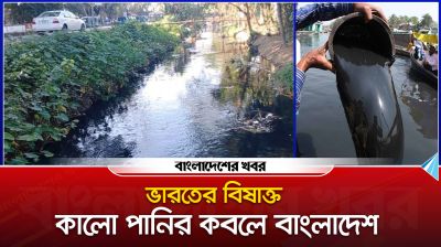 ভারতের বিষাক্ত কালো পানির কবলে বাংলাদেশ