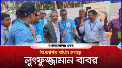 বিএনপির বর্ধিত সভায় লুৎফুজ্জামান বাবর