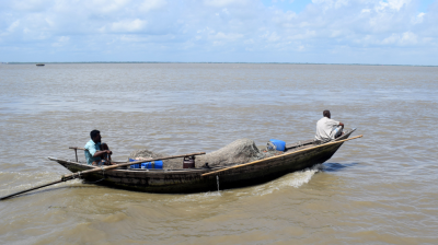 পদ্মা-মেঘনায় সব ধরনের মাছ ধরা নিষিদ্ধ