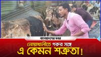 নোয়াখালীতে দূর্বৃত্তের পেট্রোলের আগুনে পুড়ল ৩৫ লাখ টাকার গরু