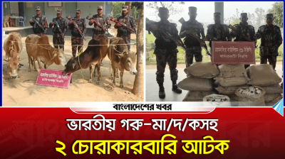 ভারতীয় গরু-মাদকসহ দুই চোরাকারবারি আটক