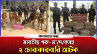 ভারতীয় গরু-মাদকসহ দুই চোরাকারবারি আটক