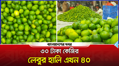 টাঙ্গাইলে লেবুর কেজি ছিল ৩০ টাকা, রমজানের নাম শুনেই হালি ৪০