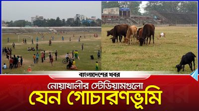 নোয়াখালীর স্টেডিয়ামগুলো যেন গোচারণভূমি