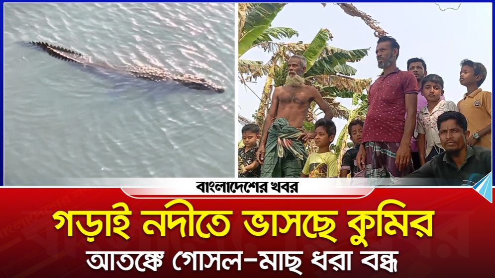 গড়াই নদীতে ভাসছে কুমির, আ'তঙ্কে গোসল-মাছ ধরা বন্ধ