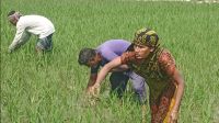 জন্মের পর থেকেই শুরু অদম্য জরিনার সংগ্রাম