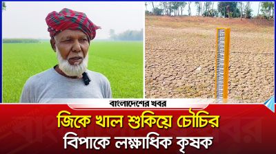 পানিশূন্য জিকে খাল শুকিয়ে চৌচির, বিপাকে লক্ষাধিক কৃষক