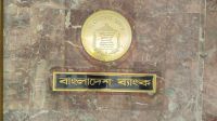 পিরামিড ও এমএলএম স্কিম নিয়ে কেন্দ্রীয় ব্যাংকের সতর্কতা
