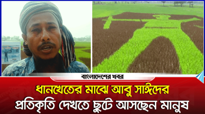 ধানখেতের মাঝে আবু সাঈদের প্রতিকৃতি দেখতে ছুটে আসছেন মানুষ