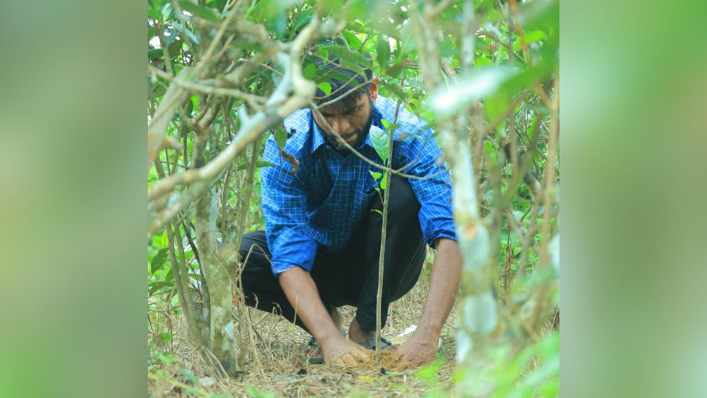 ৩৩ হাজার গাছ লাগিয়ে ‘সবুজের মহাকাব্য’