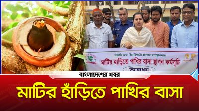 গারো পাহাড়ে মাটির হাঁড়িতে পাখির বাসা