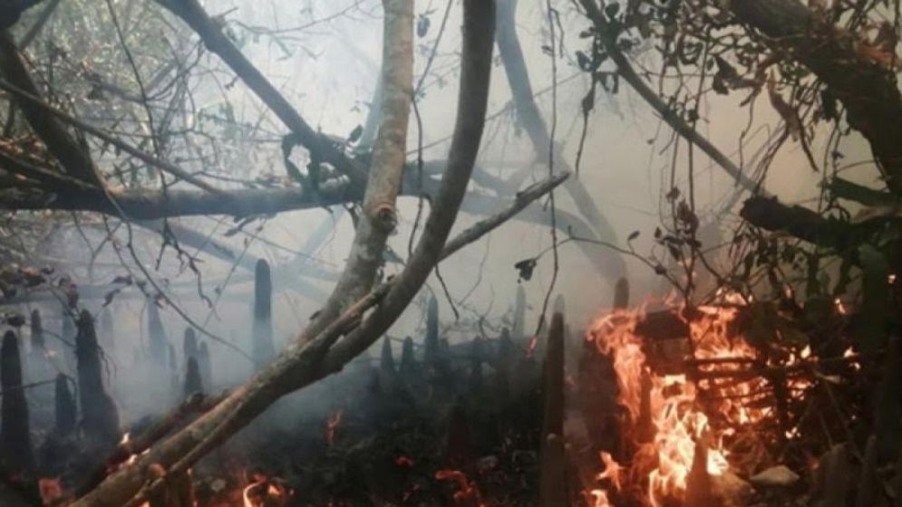 কাছে পানি নেই, সুন্দরবনে আগুন নেভানোর কাজ শুরু হবে কাল