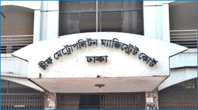 লাথি মেরে বিড়াল হত্যা : আসামির গ্রেপ্তারি পরোয়ানা