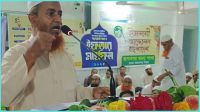 প্রজাতন্ত্রের কর্মকর্তাদের রাজনীতিতে হস্তক্ষেপের সুযোগ নেই