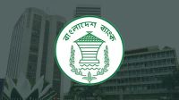 কেন্দ্রীয় ব্যাংকের সিআইবি পরিচালকের বিরুদ্ধে অভিযোগের পাহাড়