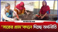 ঝিনাইদহে ভার্মি কম্পোস্ট সার উৎপাদনে বিপ্লব