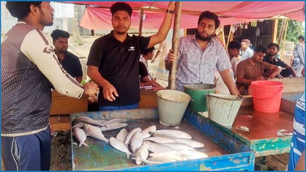 চাঁদপুরে নিষেধাজ্ঞা অমান্য করে প্রকাশ্যে বিক্রি হচ্ছে জাটকা