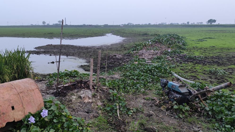 জলমহাল শুকিয়ে মাছ শিকার, সেচ শঙ্কায় কৃষক