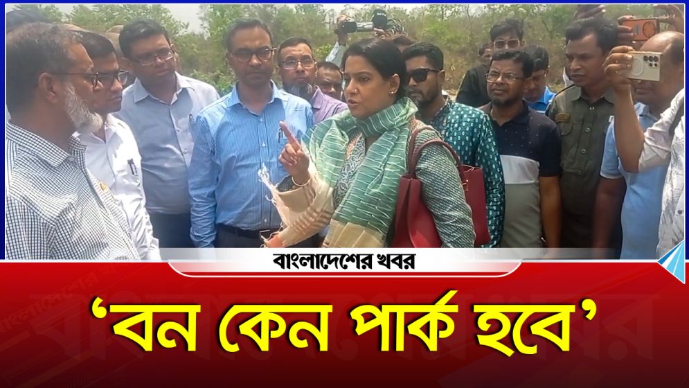 বন কেন পার্ক হবে : উপদেষ্টা রিজওয়ানা