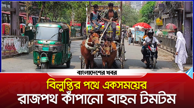বিলুপ্তির পথে একসময়ের রাজপথ কাঁপানো বাহন টমটম