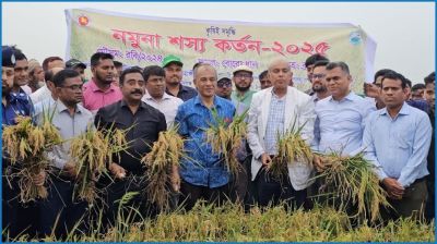 দেশে খাদ্য সংকটের আশঙ্কা নেই : কৃষি উপদেষ্টা