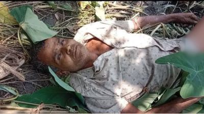 কোটালীপাড়ায় সড়কের পাশে মিলল অজ্ঞাত পুরুষের লাশ