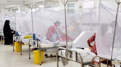 ২৪ ঘণ্টায় ডেঙ্গুতে দুইজনের মৃত্যু