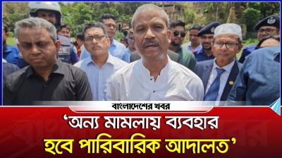 পারিবারিক আদালতকে অন্য মামলা নিষ্পত্তিতে কাজে লাগানোর চিন্তা চলছে : আসিফ নজরুল