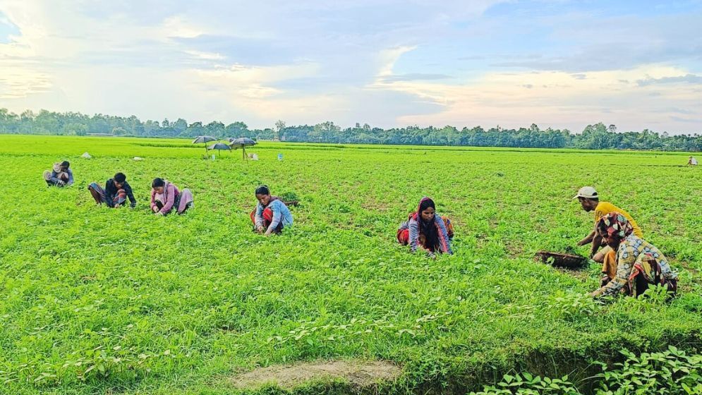 পুরুষের সমান কাজ করেও মজুরি বৈষম্যের শিকার নারীরা