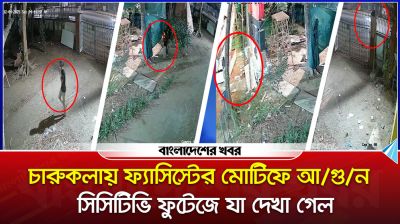 চারুকলায় ফ্যাসিস্টের মোটিফে আগুন, সিসিটিভি ফুটেজে যা দেখা গেল